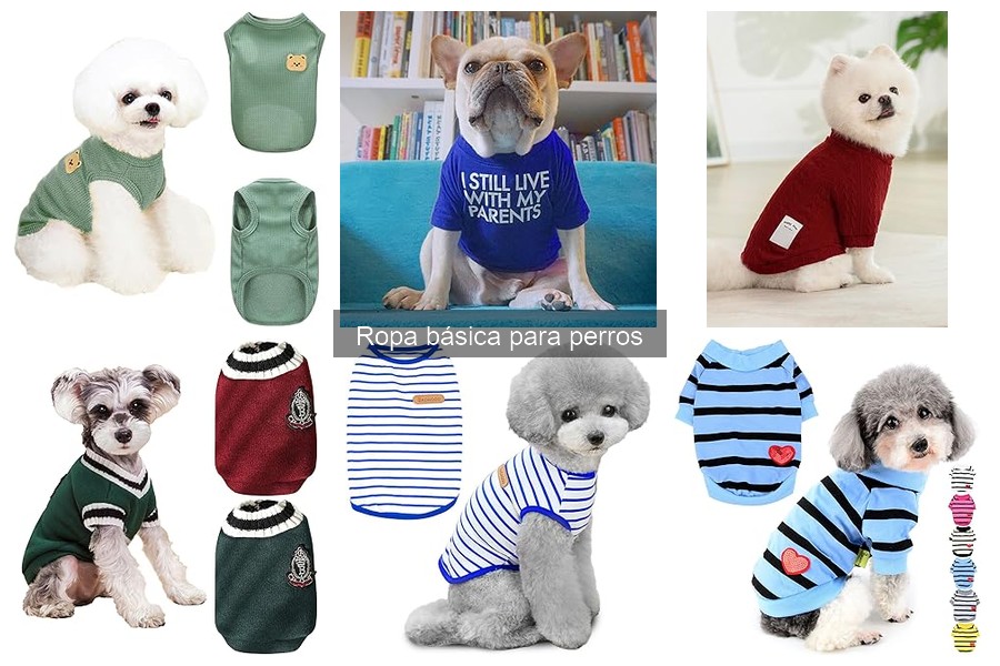 Cómo limpiar y mantener la ropa de perros fácilmente