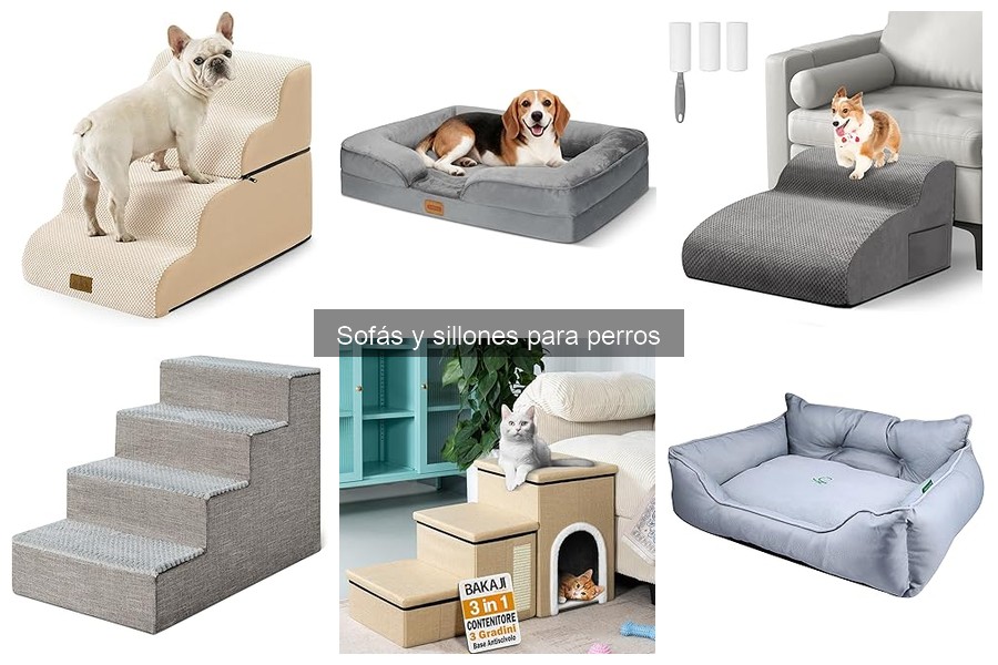 Cómo limpiar y mantener sofás para perros eficazmente