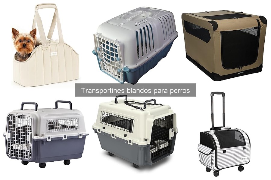 Cómo limpiar y mantener transportines blandos para perros
