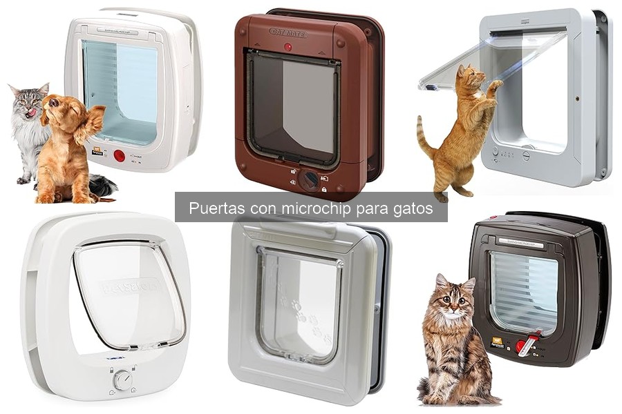 Cómo limpiar y mantener tu puerta con microchip para gatos