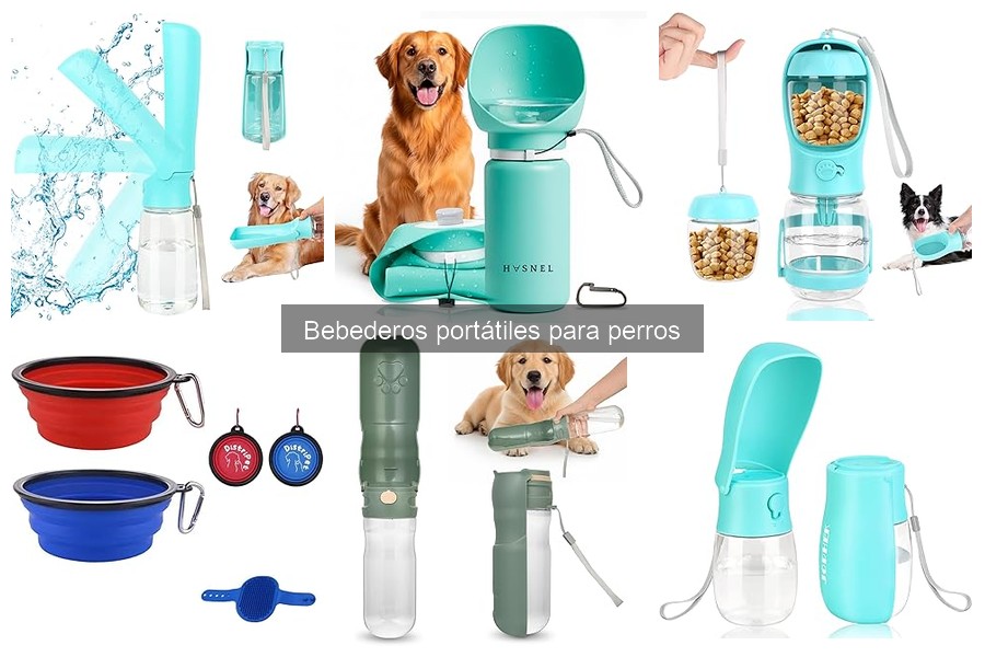 Cómo limpiar y mantener un bebedero portátil para perros