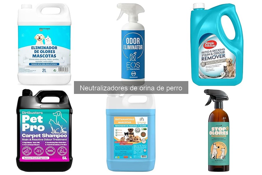 Cómo mantener áreas tratadas con neutralizadores de orina de perro