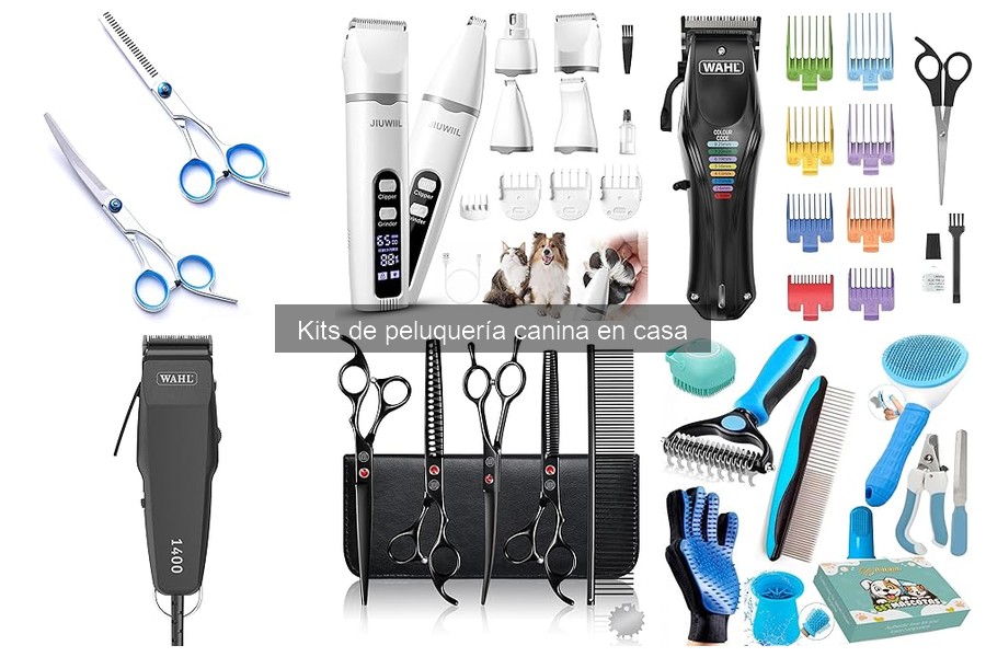 Cómo mantener correctamente tu kit de peluquería canina
