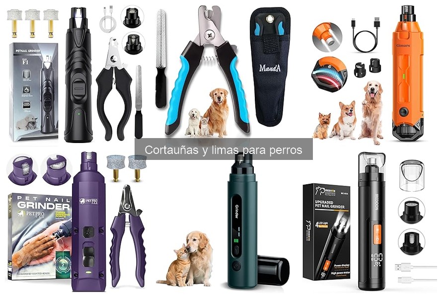 Cómo Mantener el Cortauñas para Perros en Perfecto Estado