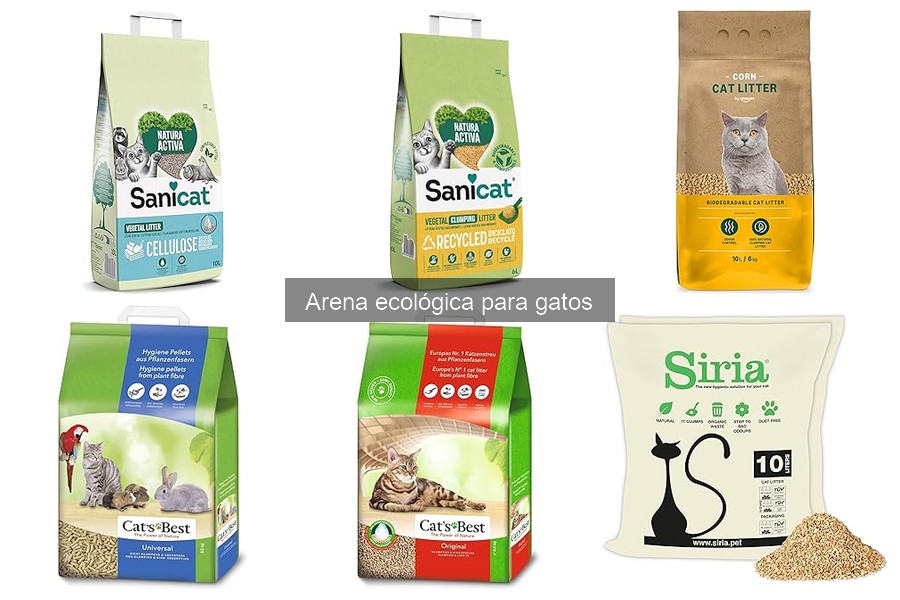 Cómo Mantener la Caja de Arena Ecológica para Gatos