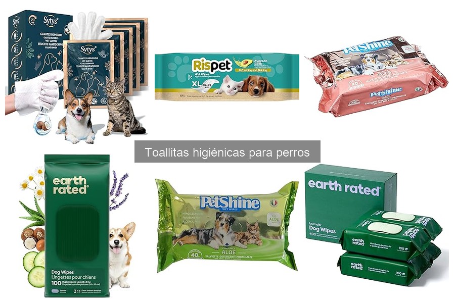Cómo mantener las toallitas higiénicas para perros en buen estado