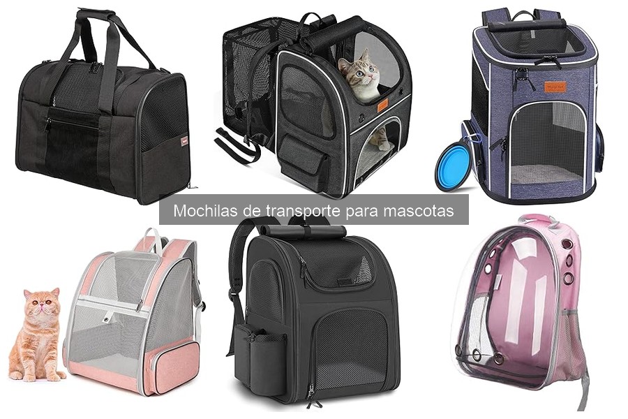 Cómo mantener limpias las mochilas de transporte para mascotas