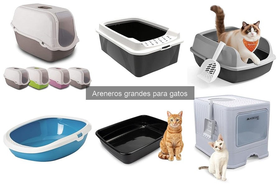 Cómo mantener limpio un arenero grande para gatos