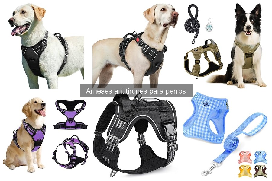 Cómo mantener tu arnés antitirones para perros en buen estado