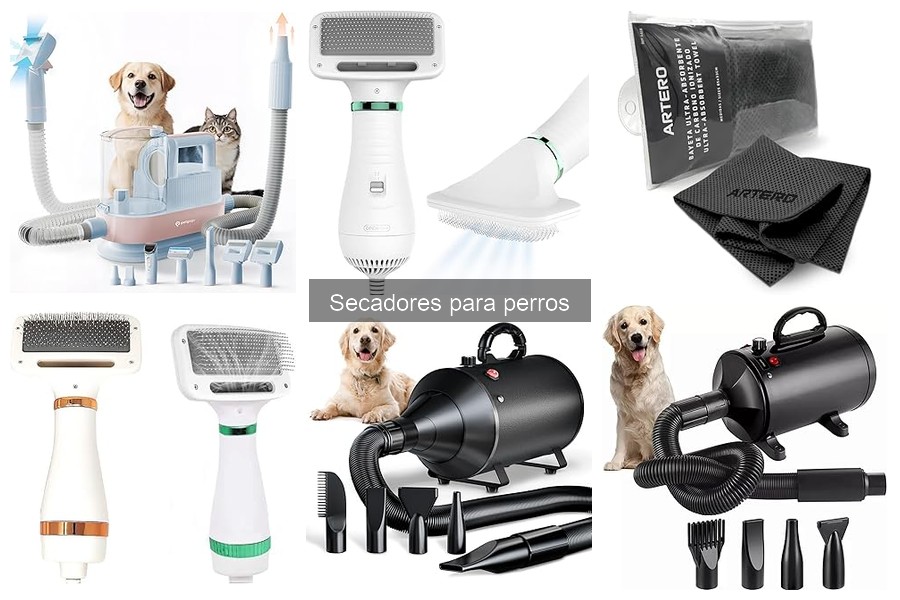 Cómo mantener y cuidar tu secador para perros