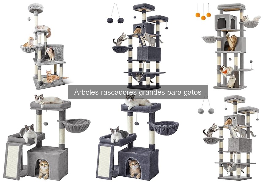Cómo mantener y limpiar árboles rascadores grandes para gatos