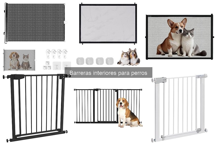 Cómo mantener y limpiar barreras interiores para perros