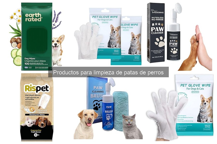 Cómo mantener y limpiar un limpiapata para perros