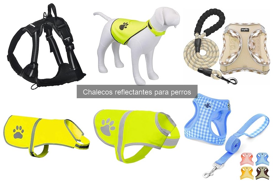 Cómo Medir a Tu Perro para un Chaleco Reflectante
