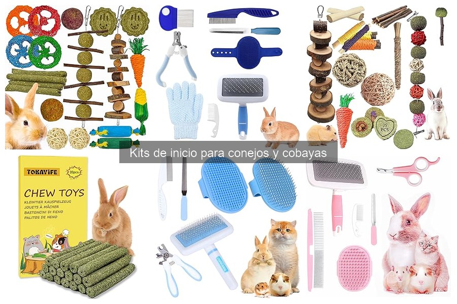 Cómo Montar un Kit de Inicio para Conejos y Cobayas