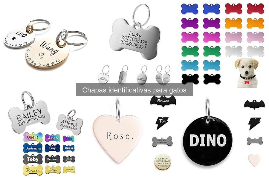 Cómo personalizar la chapa identificativa de tu gato