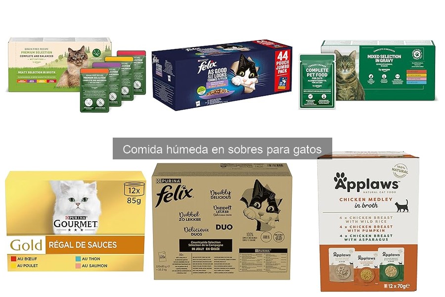 ¿Cómo saber si mi gato prefiere comida húmeda o seca?