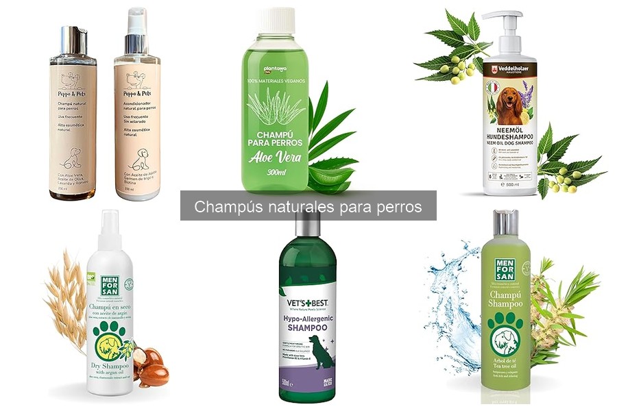 Cómo usar champús naturales para perros: Guía práctica