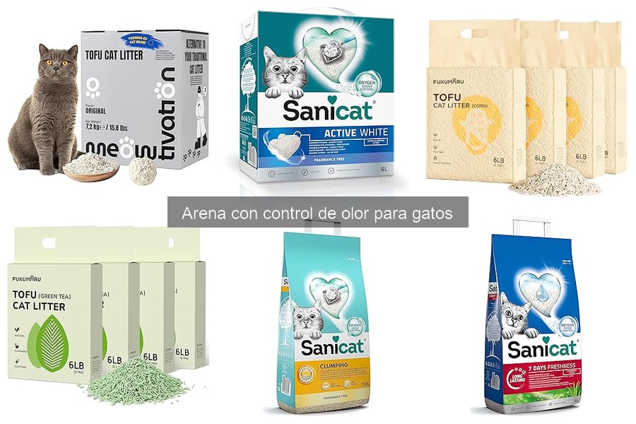 Cómo usar correctamente la arena con control de olor para gatos