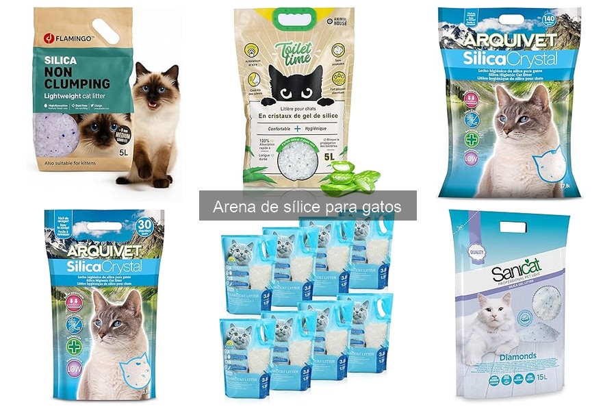 Cómo usar correctamente la arena de sílice para gatos