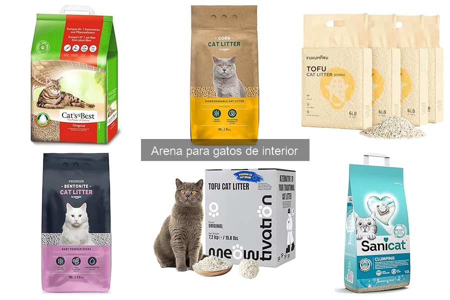 Cómo usar correctamente la arena para gatos: Guía práctica