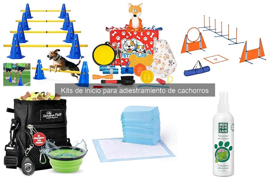 Cómo usar correctamente un kit de adiestramiento de cachorros