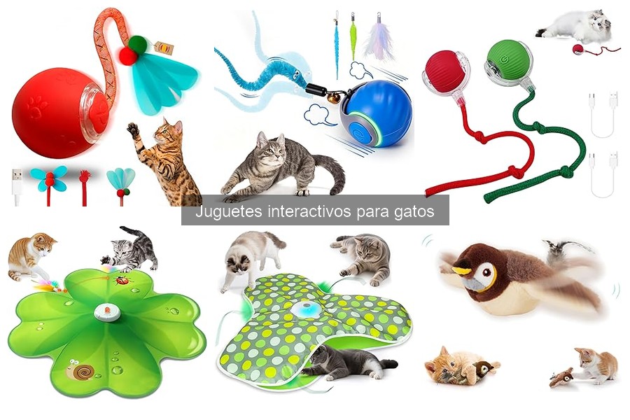 Cómo usar juguetes interactivos para gatos de forma efectiva