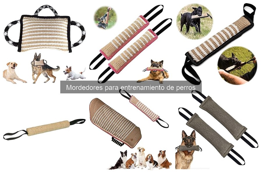 Cómo usar mordedores para el entrenamiento de perros