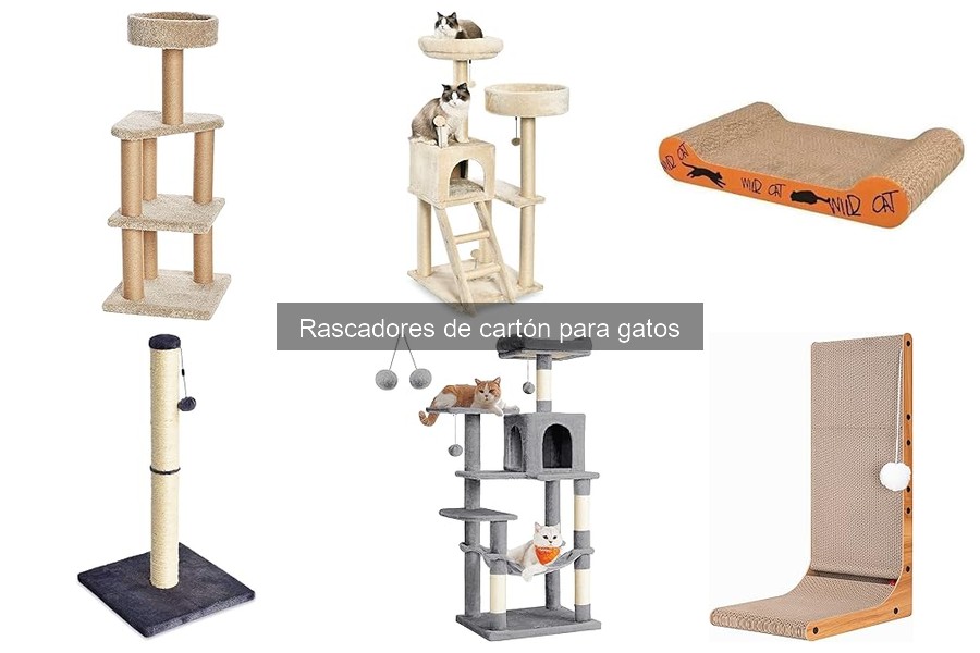 Cómo usar rascadores de cartón para gatos correctamente
