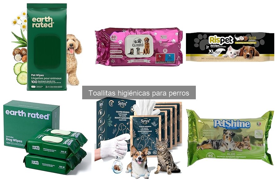 Cómo Usar Toallitas Higiénicas para Perros de Manera Efectiva