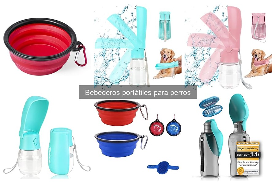 Cómo usar un bebedero portátil para perros: Guía práctica