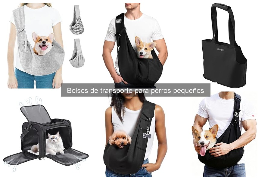 Cómo usar un bolso de transporte para perros pequeños