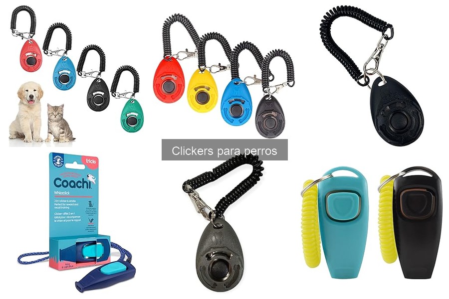 Cómo usar un clicker en el entrenamiento de tu perro