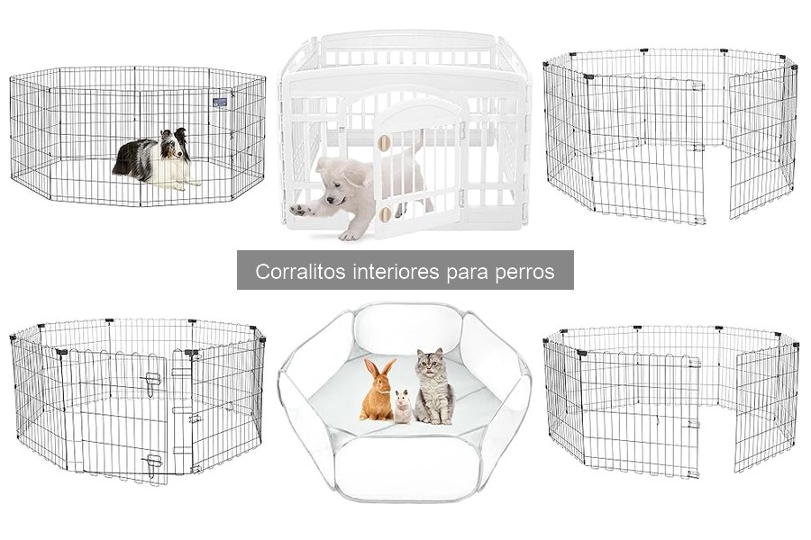 Cómo usar un corralito interior para perros correctamente