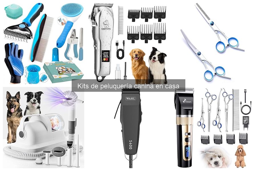 Cómo usar un kit de peluquería canina en casa - Guía práctica
