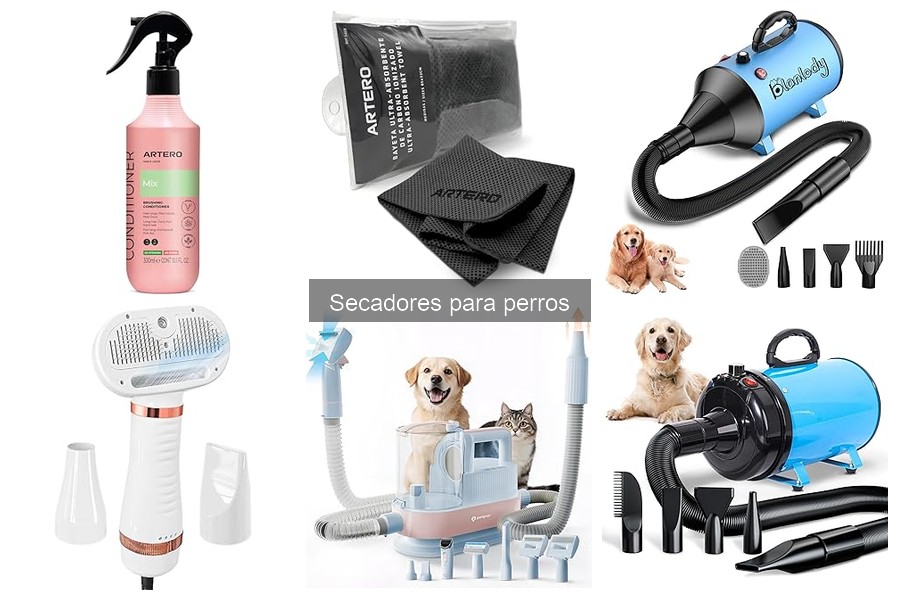 Cómo usar un secador para perros de forma segura y efectiva