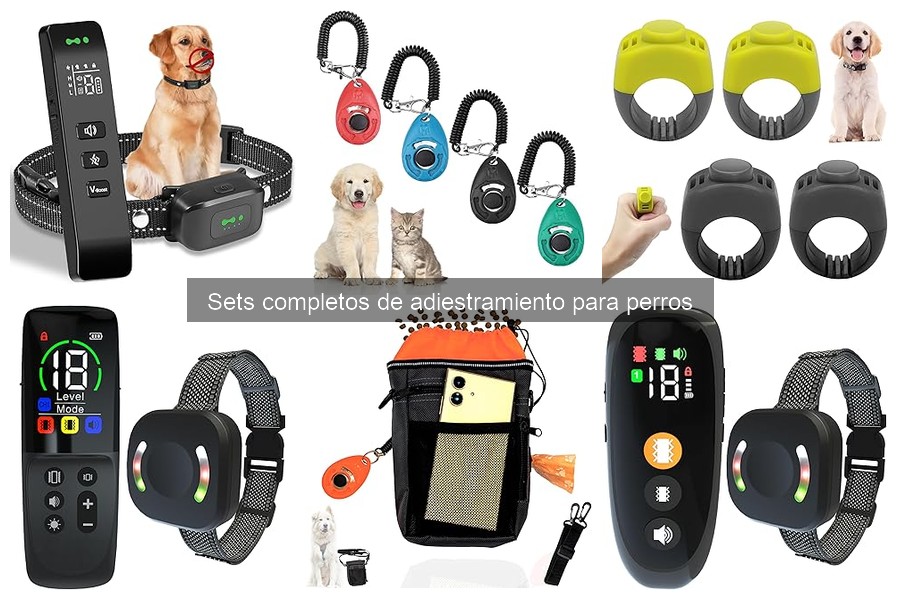 Cómo usar un set de adiestramiento para perros eficazmente