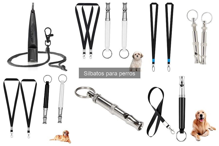 Cómo usar un silbato para entrenar a tu perro de forma efectiva