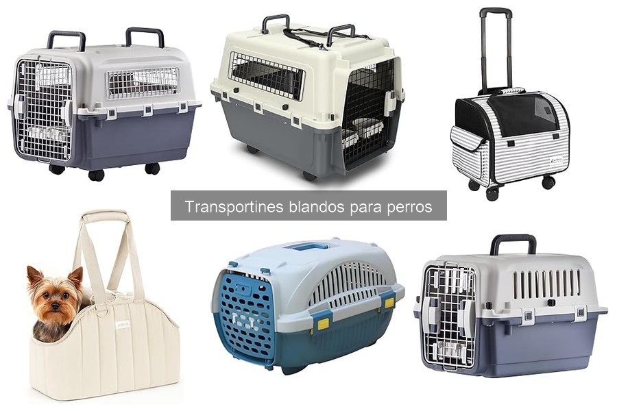 Cómo usar un transportín blando para tu perro de forma fácil