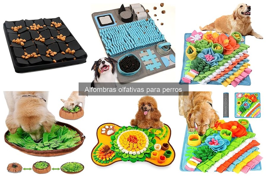 Cómo usar una alfombra olfativa con tu perro: Guía práctica