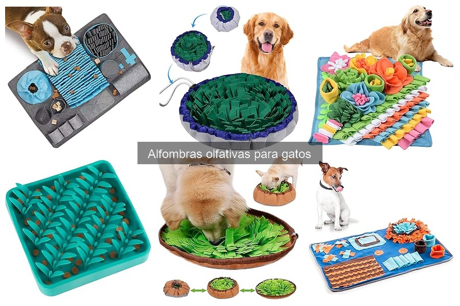Cómo usar una alfombra olfativa para gatos correctamente