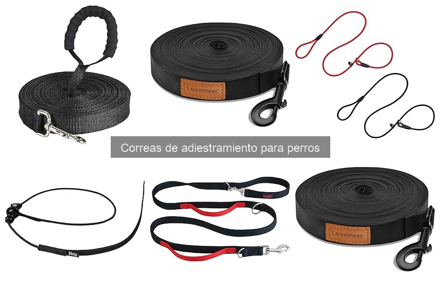 Cómo Usar una Correa de Adiestramiento para Perros Efectivamente