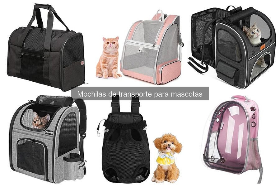 Cómo usar una mochila de transporte para mascotas correctamente