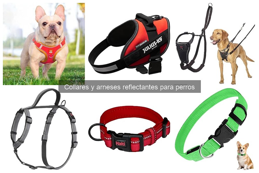Cómo utilizar un collar reflectante para perros correctamente