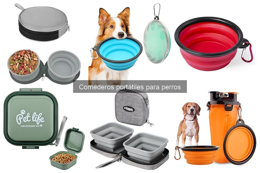 Cómo utilizar un comedero portátil para perros de forma efectiva