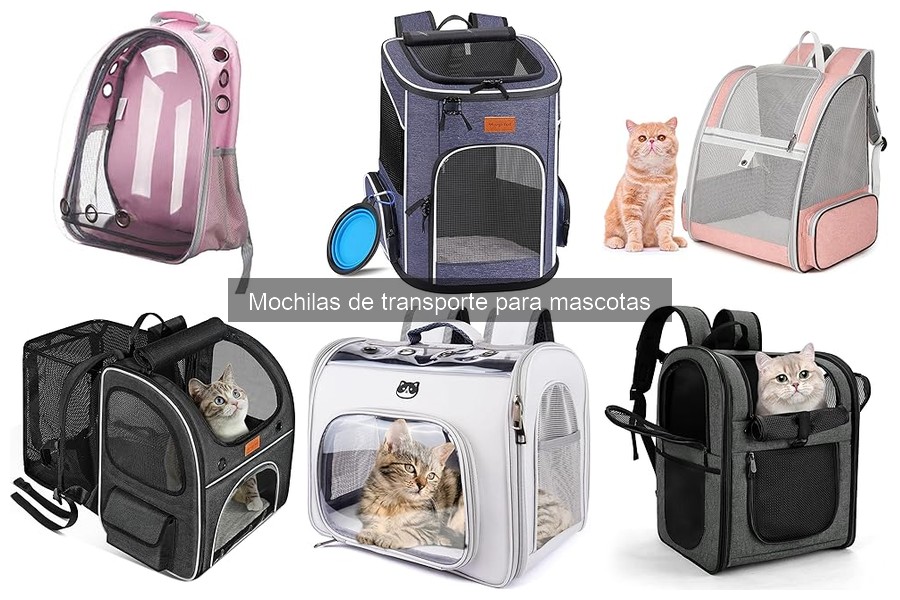Comodidad de mochilas de transporte para mascotas: ¿valen la pena?