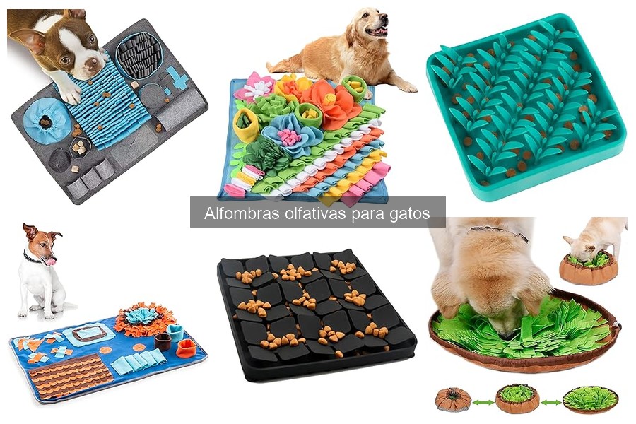 Comparativa: Alfombras olfativas vs Juguetes interactivos para gatos
