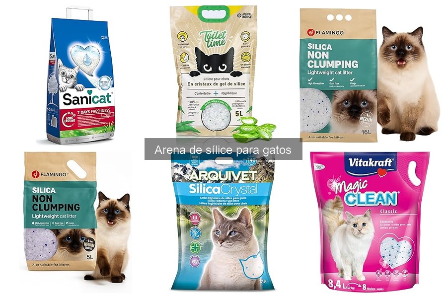 Comparativa: Arena de sílice vs. Arenas Tradicionales para Gatos