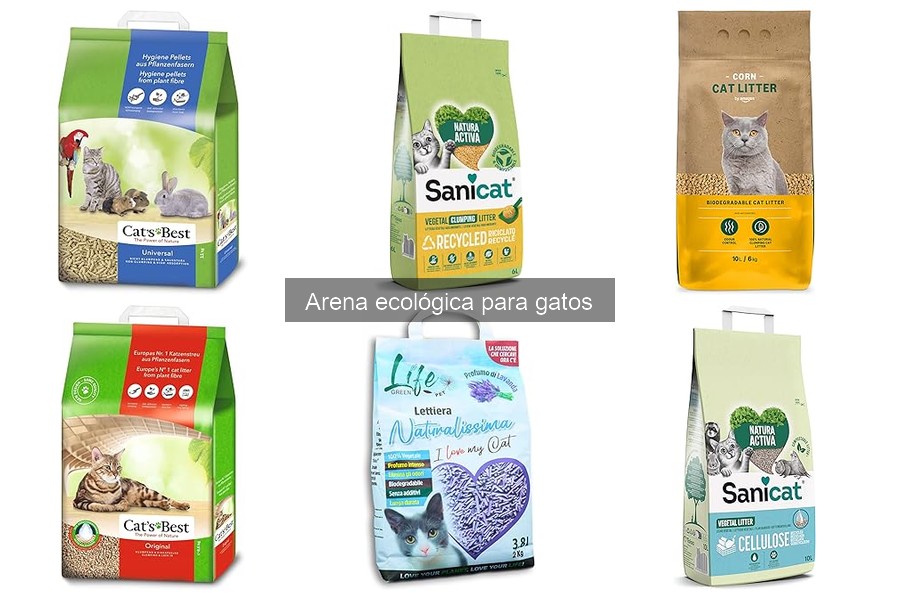 Comparativa: Arena Ecológica vs Convencional para Gatos