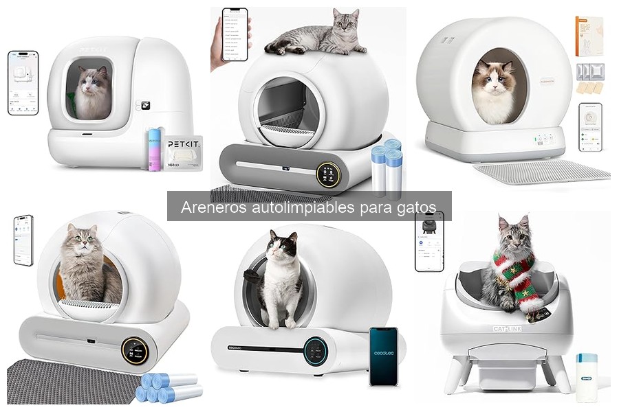 Comparativa: Areneros autolimpables vs tradicionales para gatos